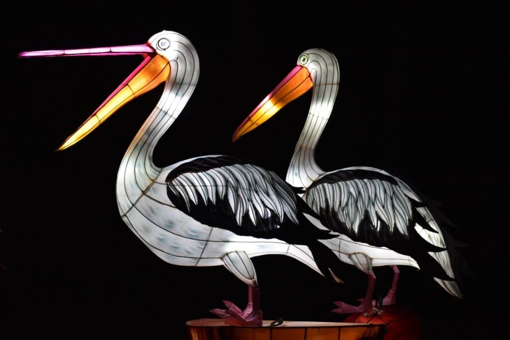 photo of pelican lanterns
