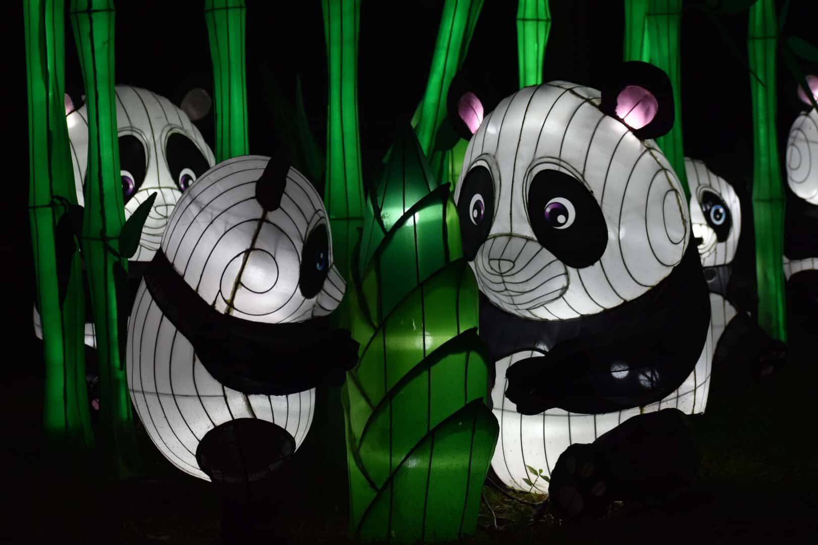 photo of a scene of pandas and green plants, all made of lanterns