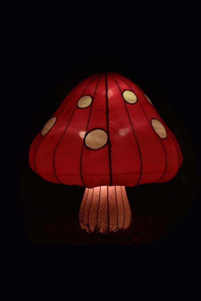 photo of a red mushroom lantern with white spots