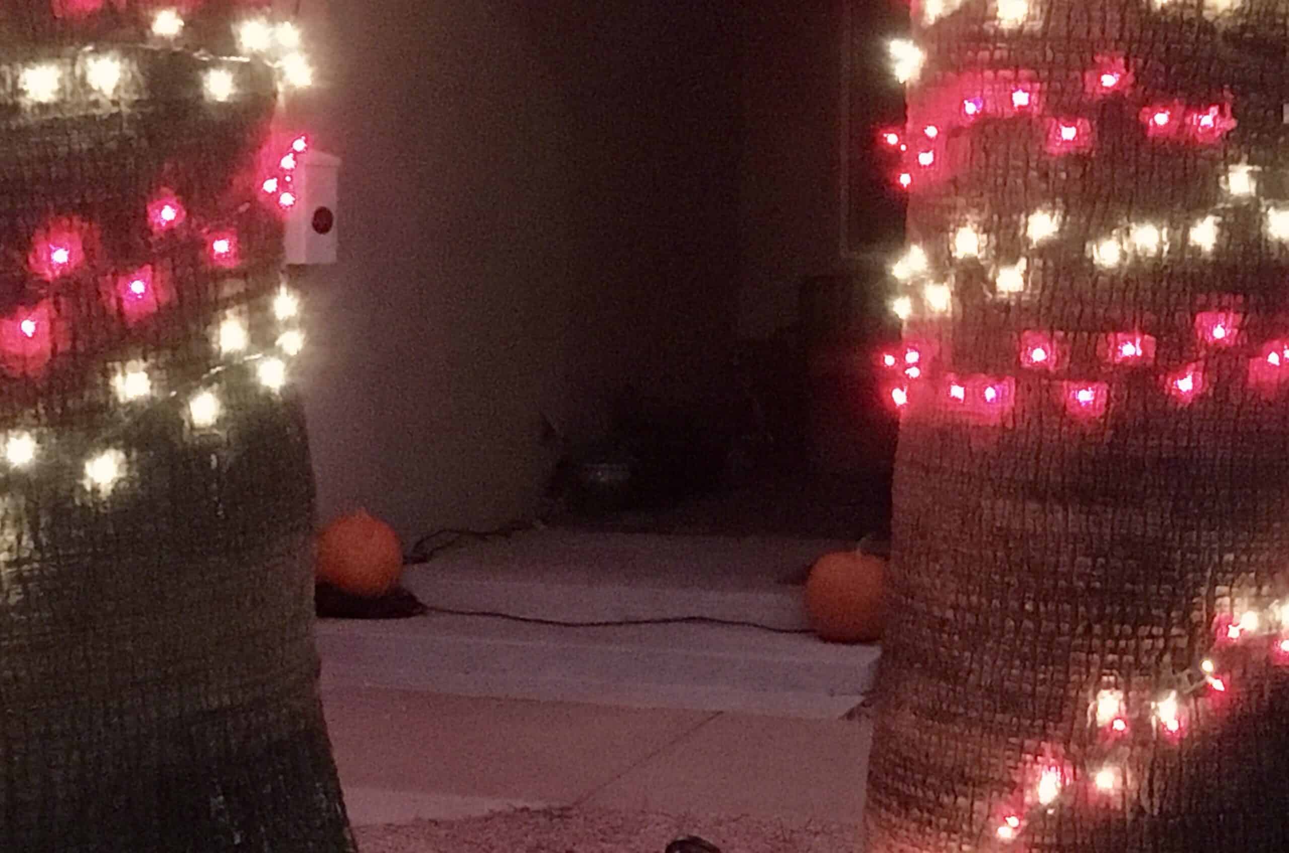 photo with two palm tree trunks in the foreground with Christmas lights on them and two pumpkins in the background on the porch