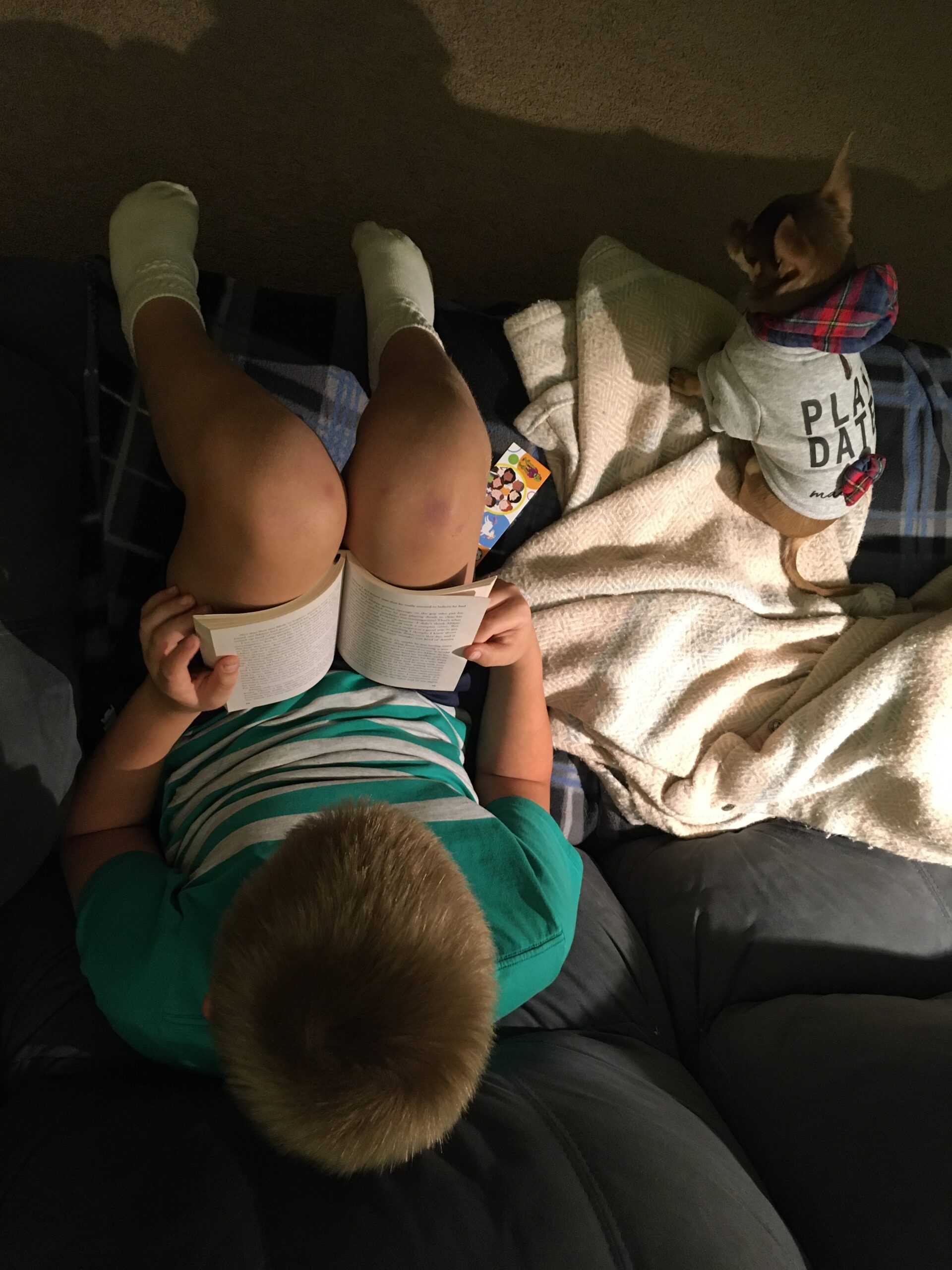 photo of a child reading a book on the couch, taken from directly overhead. Dog in a sweatshirt is sharing the couch